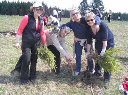 Pošumljavanje - Rizvan City