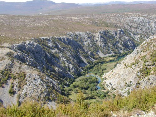 Rafting - Rizvan City