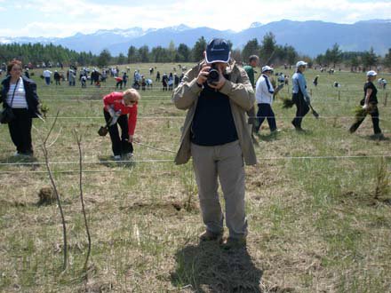 Pošumljavanje - Rizvan City