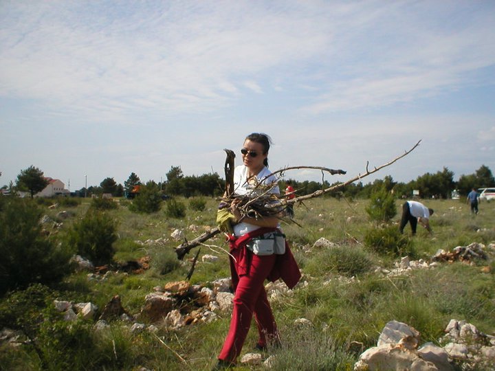 Pošumljavanje - Rizvan City