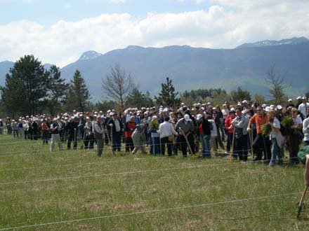 Pošumljavanje - Rizvan City