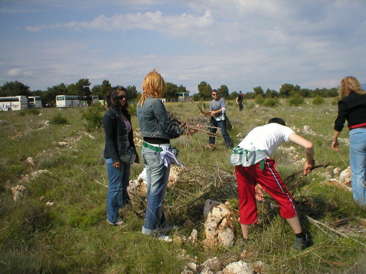 Pošumljavanje - Rizvan City