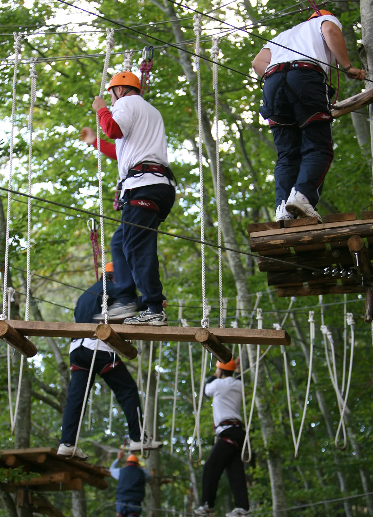 team building adrenalinski park Lika